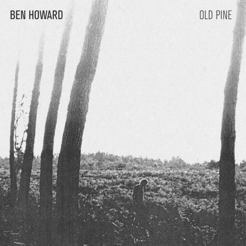 Ben Howard Old Pine